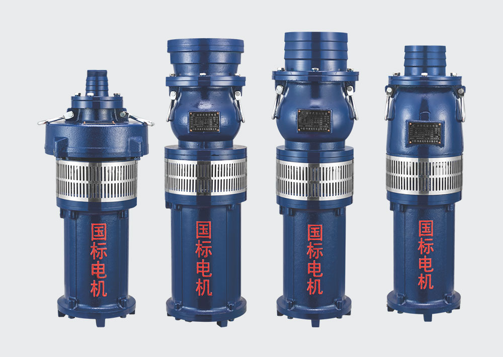 油浸式潛水電泵系列（杭州款）